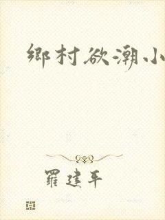 乡村欲潮小说封面