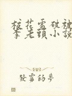 校花处破被灌满李老头小说封面
