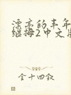 漂亮的丰年经的继拇2中文版