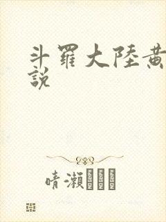 斗罗大陆黄色小说封面