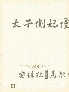太子侧妃傻乎乎