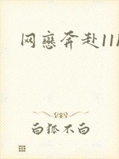 网恋奔赴11h