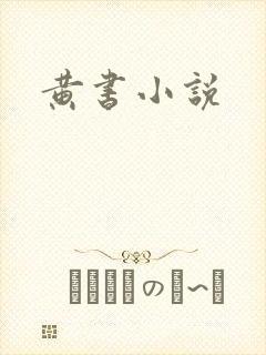 黄书小说