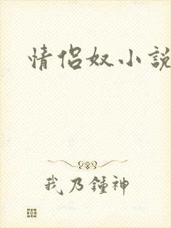 情侣奴小说