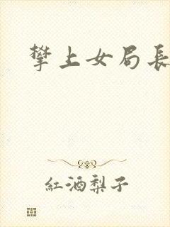 攀上女局长封面
