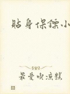 贴身保镖小说