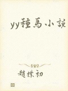 yy种马小说封面