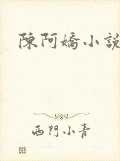 陈阿娇小说封面
