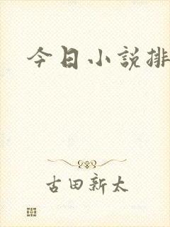 今日小说排行榜封面