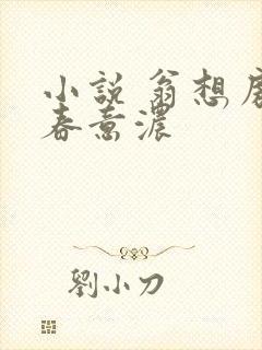 小说 翁想房中春意浓