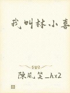 我叫林小喜17封面