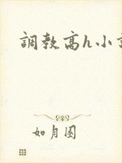 调教高h小说