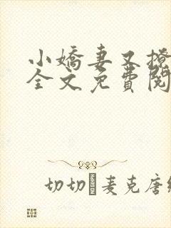 小娇妻又撩又甜全文免费阅读