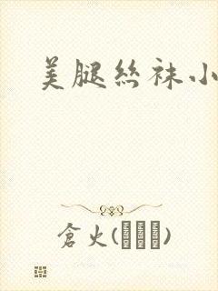 美腿丝袜小说