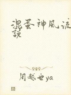 混蛋神风流史小说
