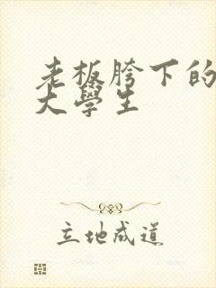 老板胯下的秘书大学生封面
