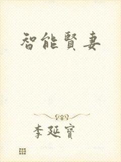 智能贤妻