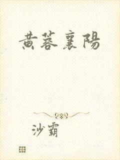 黄蓉襄阳封面
