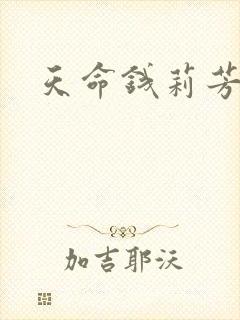 天命钱莉芳封面