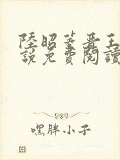 陆昭菱晋王的小说免费阅读