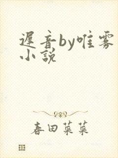 迟音by唯雾的小说
