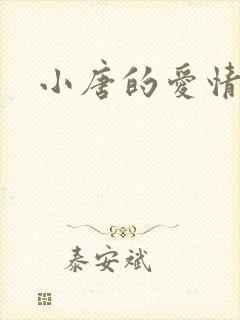 小唐的爱情史