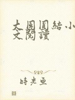 大团圆结小茹全文阅读