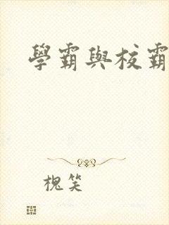 学霸与校霸
