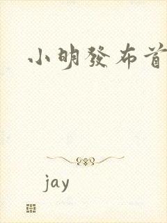 小明发布首页