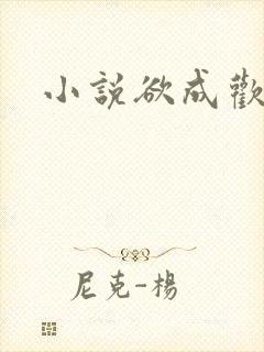 小说欲成欢