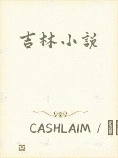 吉林小说