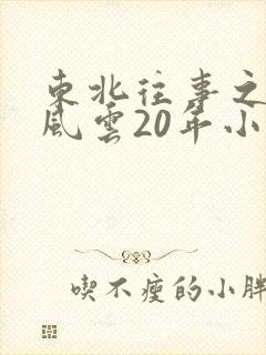 东北往事之黑道风云20年小说