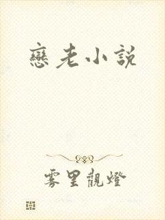 恋老小说