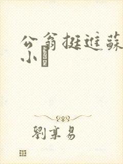 公翁挺进苏玥的小泬封面