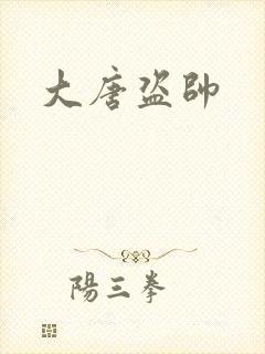 大唐盗帅