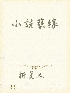 小说孽缘