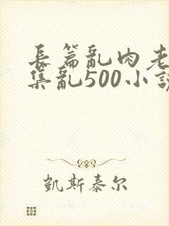 长篇乱肉老师合集乱500小说封面