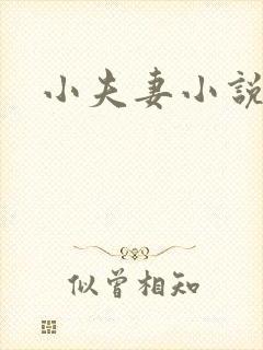 小夫妻小说