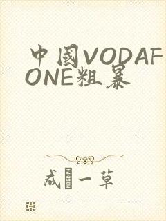 中国VODAFONE粗暴