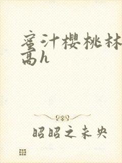 蜜汁樱桃林妙妙高h