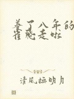 养了八年的金丝雀飞走啦
