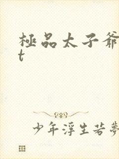 极品太子爷txt