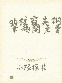 gb校霸夹钢笔笔趣阁免费的封面