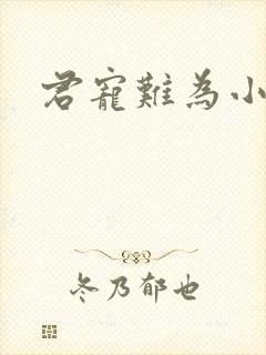 君宠难为小说