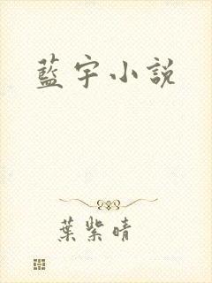 蓝宇小说
