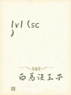 1v1 (sc)