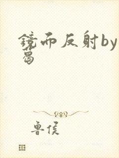 镜面反射by九葛