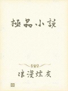 极品小说