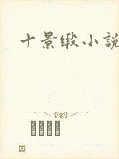 十景缎小说封面