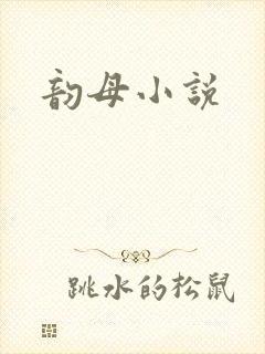 韵母小说